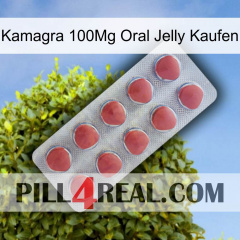 Kamagra 100Mg Oral Jelly Buy 18
